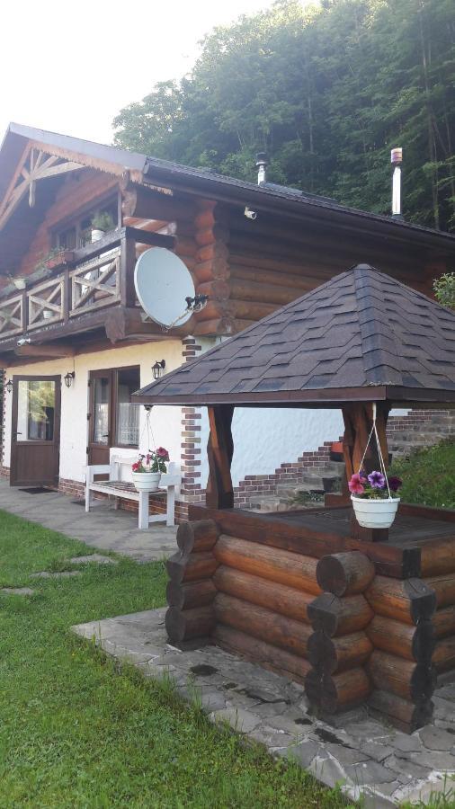 Hotel U Druziv Polyana  Exterior foto