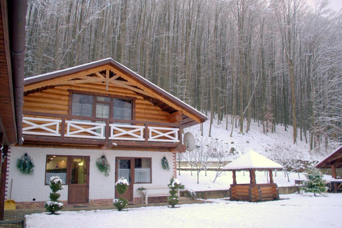 Hotel U Druziv Polyana  Exterior foto